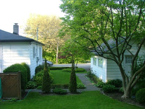 Backyard view to front yard