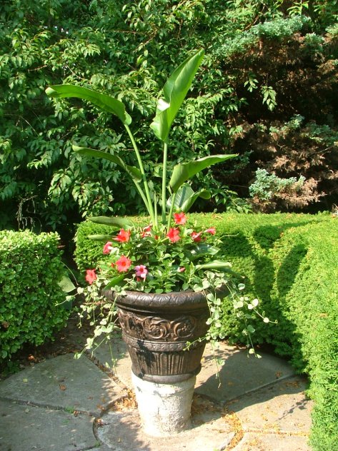Backyard urn
